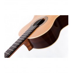 ALTAMIRA CLASSIQUE N100 3/4 RN CEDRE GLOSS