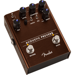 FENDER ACOUSTIC PREVERB