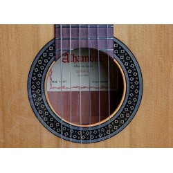 ALHAMBRA 1C HT HYBRID TERRA 4/4 + HOUSSE 10mm