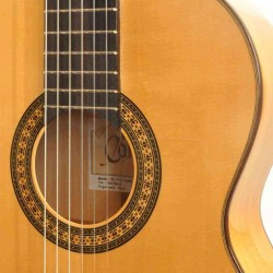 CAMPS FL-11-S PRO BLEND GUITAR