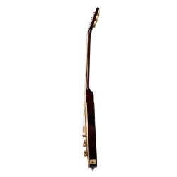 GIBSON SLASH  VICTORIA  LES PAUL STANDARD GOLD TOP DARK BACK