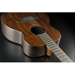 LAG SAUVAGE-T TRAVEL GREEN GUITARS