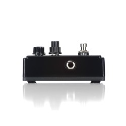 DIGITECH DOD BONESHAKER