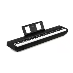 YAMAHA P-45B