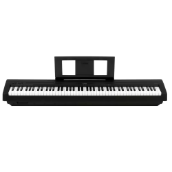 YAMAHA P-45B
