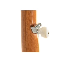 GEWA BANJO TENNESSEE ECONOMY 5 CORDES AVEC ETUI