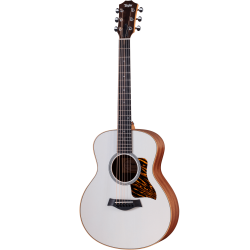 TAYLOR GS MINI-E SPECIAL...