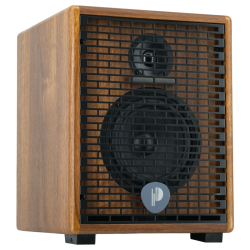 PRODIPE NATURAL 6 V2 WALNUT WOOD COMBO POUR GUITARE ET INSTRUMENTS 140W