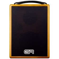 STOCK B - GR GUITAR ACOUSTIC 5 WOOD + HOUSSE