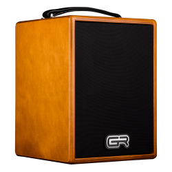 STOCK B - GR GUITAR ACOUSTIC 5 WOOD + HOUSSE