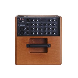 ACUS ONEFORSTRINGS 6T WOOD