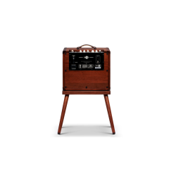 TAYLOR CIRCA 74 AMP 150W + STAND
