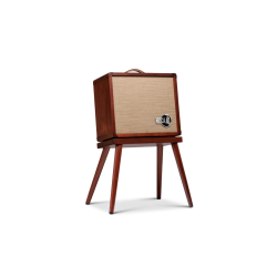 TAYLOR CIRCA 74 AMP 150W + STAND
