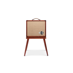TAYLOR CIRCA 74 AMP 150W + STAND