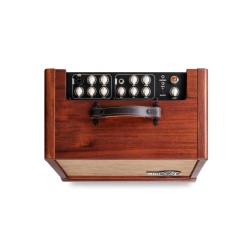TAYLOR CIRCA 74 AMP 150W + STAND