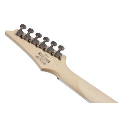 IBANEZ RG421SSEM SEA SHORE MATTE