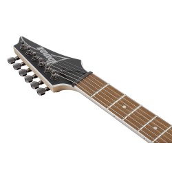 IBANEZ RG421SSEM SEA SHORE MATTE