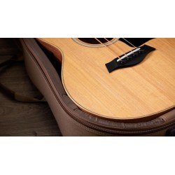 TAYLOR GS MINI-E BASS SAPELE SITKA