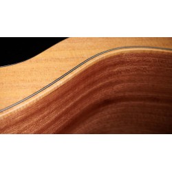 TAYLOR GS MINI-E BASS SAPELE SITKA