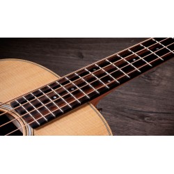 TAYLOR GS MINI-E BASS SAPELE SITKA