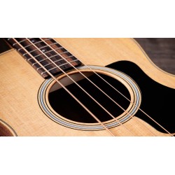 TAYLOR GS MINI-E BASS SAPELE SITKA
