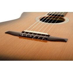 ESTEVE FUSION CD-SC TOUTE MASSIVE sillet 48 + softcase
