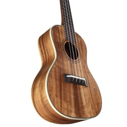 ALVAREZ AU90C Ukulélé Artist series
