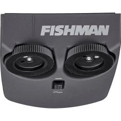 FISHMAN Matrix Infinity Format chevalet splitté double micros