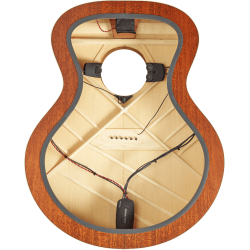 FISHMAN Matrix Infinity Format chevalet splitté double micros