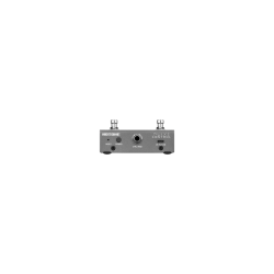HOTONE EC-2 PULZE CONTROL