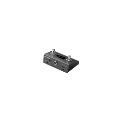 HOTONE EC-2 PULZE CONTROL