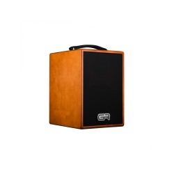 GR GUITAR ACOUSTIC 6 WOOD + HOUSSE