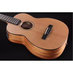 FURCH STOCK B -TRAVEL LITTLE JANE SERIE 10 ELECTRO LR Baggs