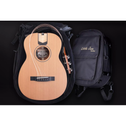 FURCH STOCK B -TRAVEL LITTLE JANE SERIE 10 ELECTRO LR Baggs