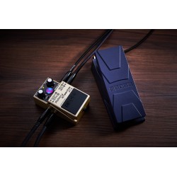BOSS RT-2 ROTARY ENSEMBLE