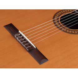 Salvador Cortez CC-32 GUITARE CLASSIQUE