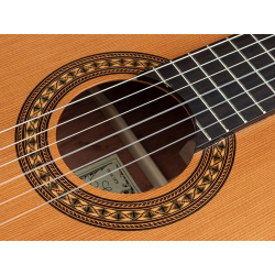 Salvador Cortez CC-32 GUITARE CLASSIQUE