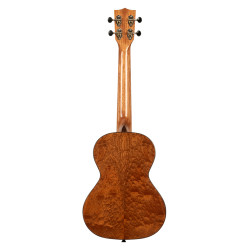 KALA 20TH ANNIVERSARY SOLID SPRUCE Top/Quilted Sapele Tenor+ HOUSSE