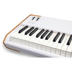 ARTURIA ASTROLAB-88-WH