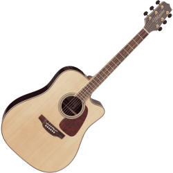 TAKAMINE GD93 CE NAT