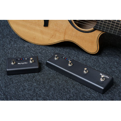 LAG HV-S2 2 SWITCHS
