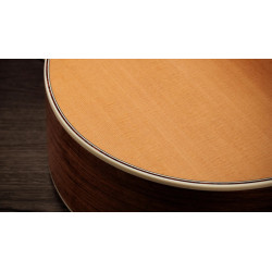 TAYLOR GOLD LABEL 814E