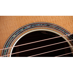 TAYLOR GOLD LABEL 814E