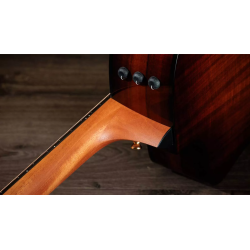 TAYLOR 224CE KOA DELUXE