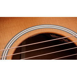 TAYLOR GOLD LABEL 514E-SB MAHOGANY/TOR SITKA SUNBURST