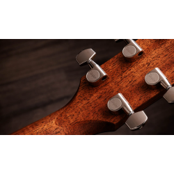 TAYLOR GOLD LABEL 514E-SB MAHOGANY/TOR SITKA SUNBURST