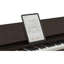 ROLAND KIYOLA KF-25-KSO X KARIMOKU ARTISAN DIGITAL