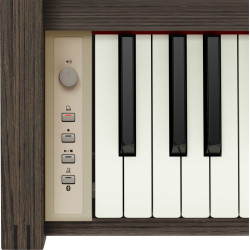 ROLAND KIYOLA KF-25-KSO X KARIMOKU ARTISAN DIGITAL