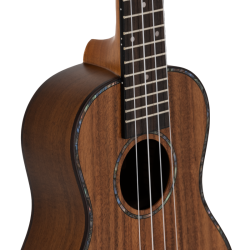 PRODIPE UKULELE CONCERT BC2380