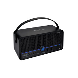 MOOER F40I LI 40W NOIR